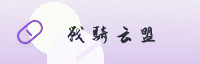合作伙伴